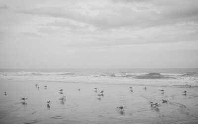 Hello, Myrtle Beach!